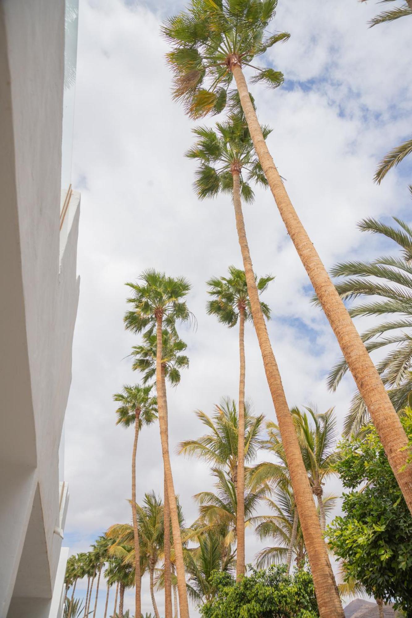 Palm Beach Fuerteventura Tarajalejo Luaran gambar