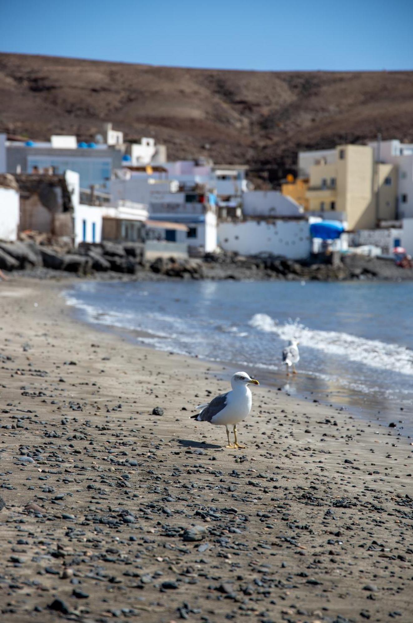 Palm Beach Fuerteventura Tarajalejo Luaran gambar